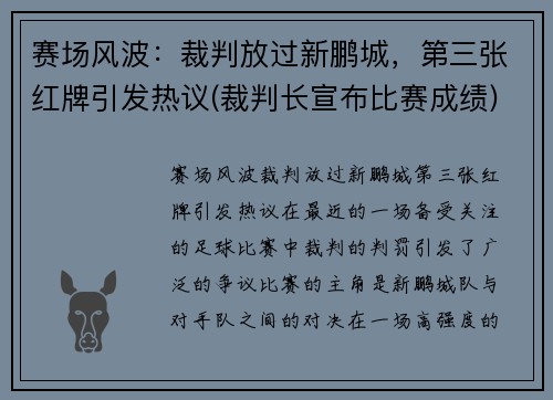 赛场风波：裁判放过新鹏城，第三张红牌引发热议(裁判长宣布比赛成绩)