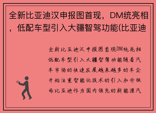 全新比亚迪汉申报图首现，DM统亮相，低配车型引入大疆智驾功能(比亚迪汉2022全新)